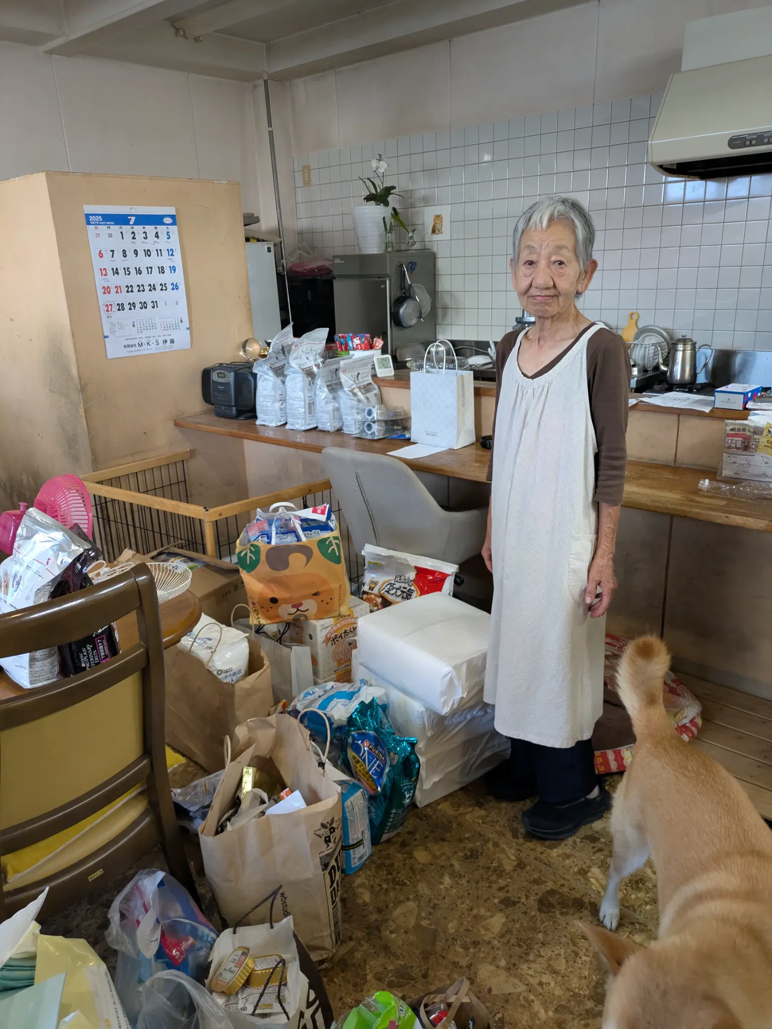 動物保護団体への支援活動の様子1